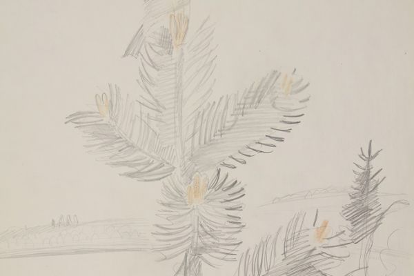 Александр Белашов. Жулан. Рисунок из альбома 1986 года. Фото из архива А.А. Белашова