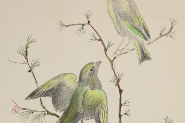 Александр Белашов. Зеленушка, 1995. Набросок. Фото из архива А.А. Белашова