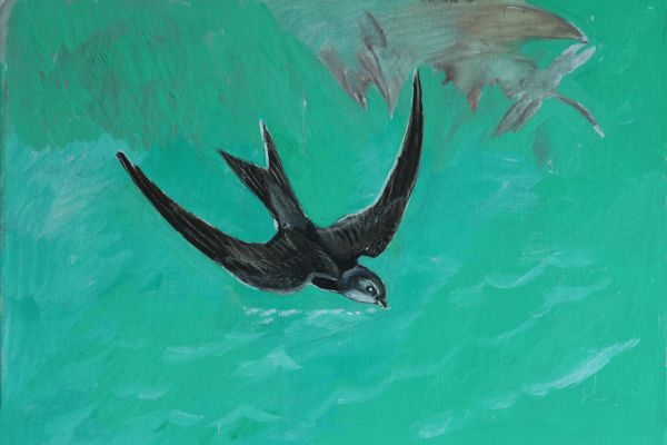 Александр Белашов. Ласточка пьет, 2002. Холст, масло. Фото из архива А.А. Белашова